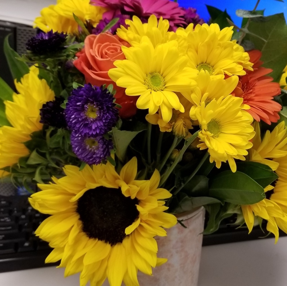 Meet your Posher, Kal